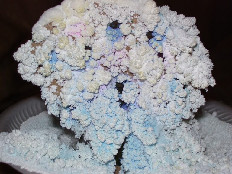 Salz in den Blumenkübel streuen – warum Unkraut nie wieder wächst