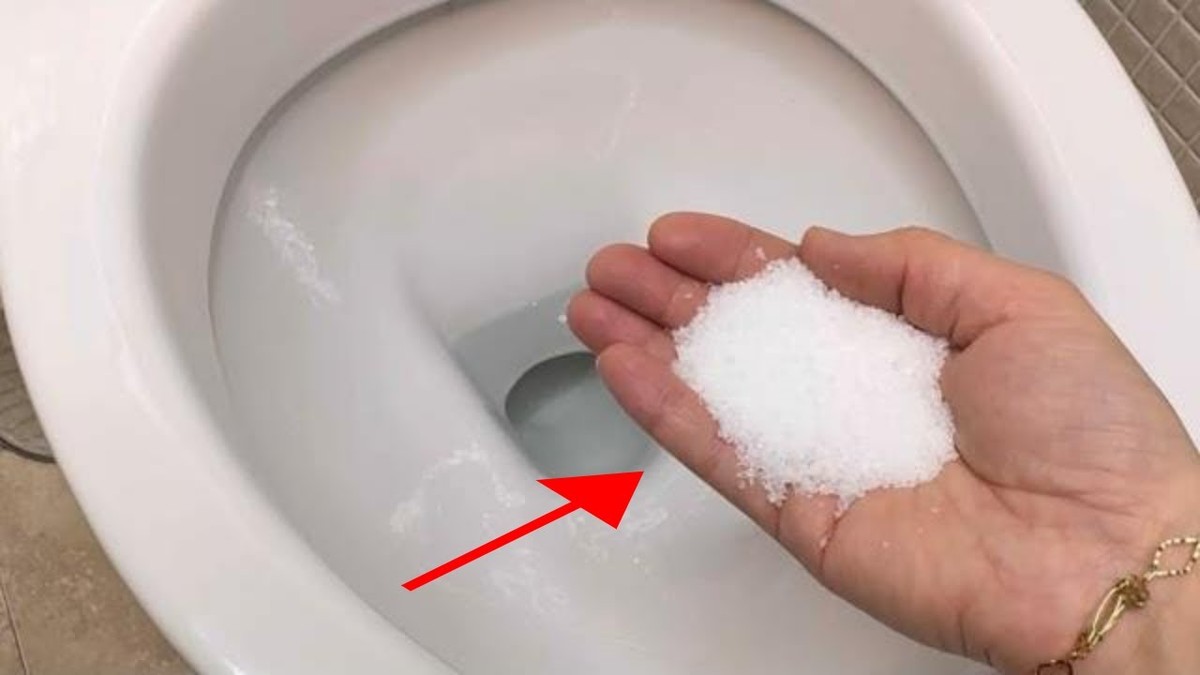 Salzwasser in der Toilette statt Chemie – ein Trick aus Skandinavien