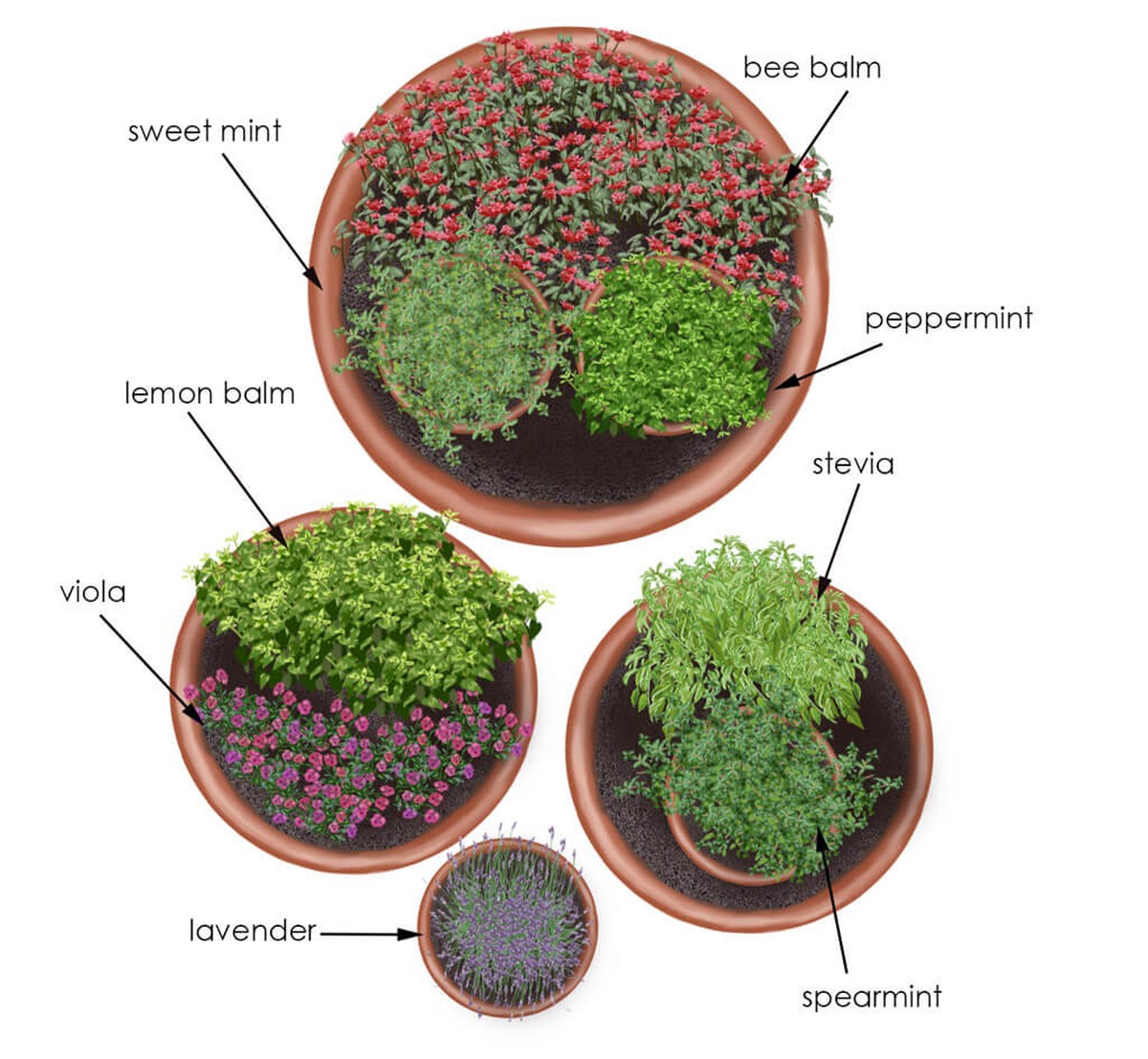 Teebeutel im Blumentopf: Warum Gärtner das jeden Frühling machen - image 2