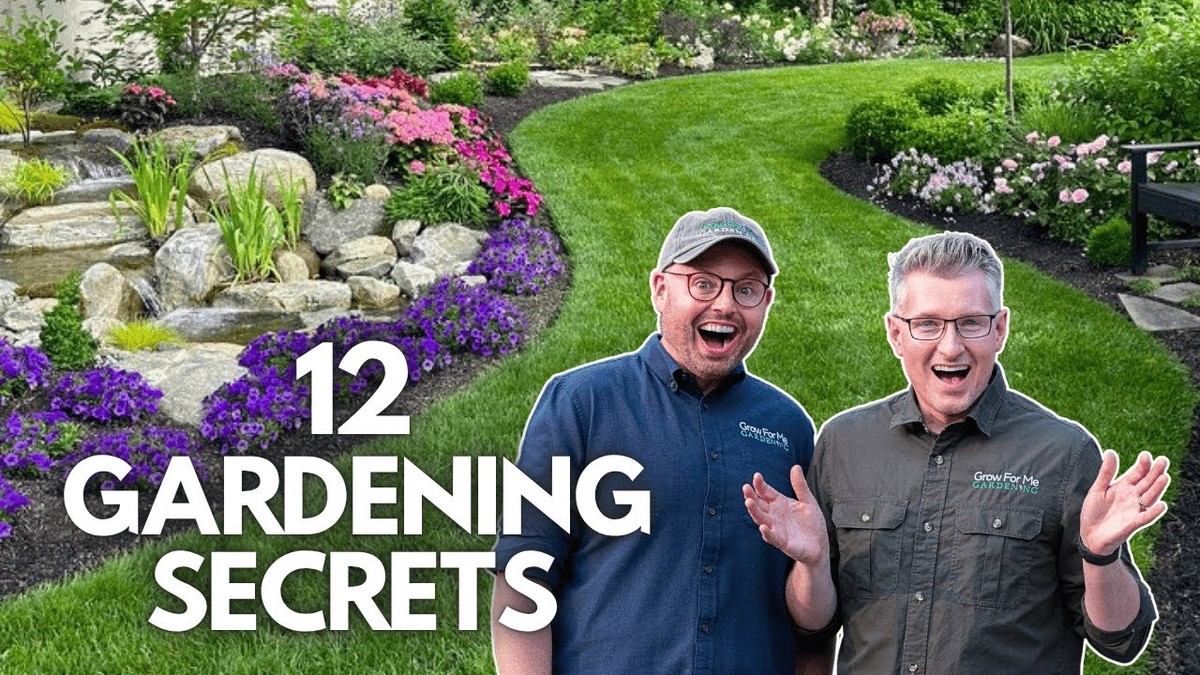 Was Gärtner heimlich über Rasendünger wissen - image 1