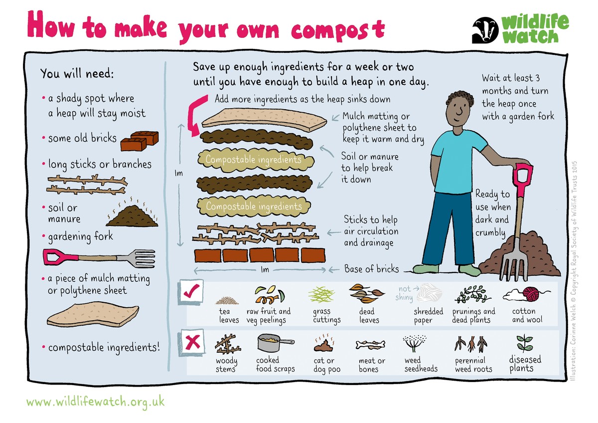 Was Gärtner Ihnen über Kompost nie erzählen - image 2