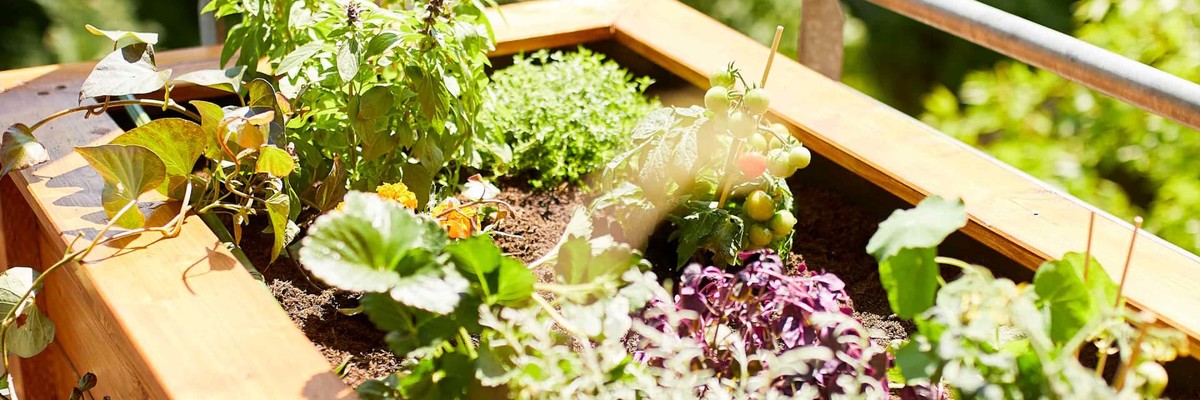 Was Gärtner im März machen, das Sie sofort kopieren sollten - image 2