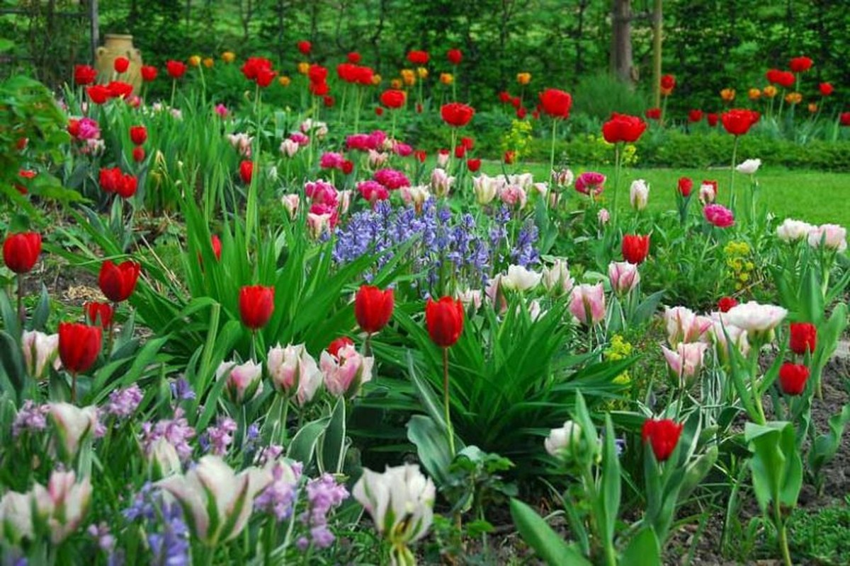 Was Gärtner über Hochbeete im Frühjahr verschweigen - image 1