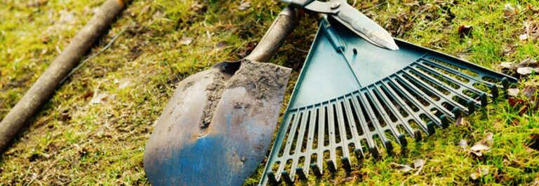 Zahnpasta auf Gartenkratzer – warum Profigärtner das täglich machen