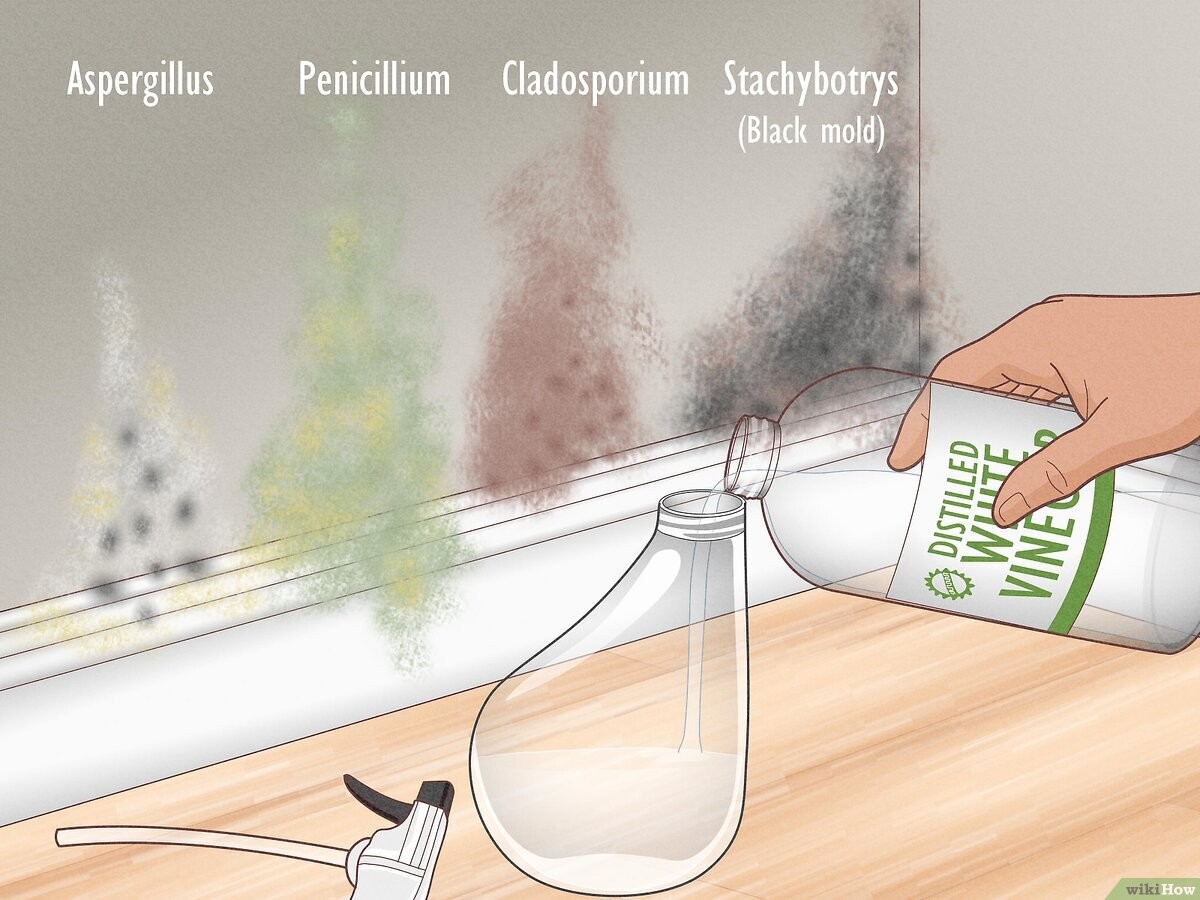Essig auf Fensterrahmen: Der Trick gegen Schimmel für unter 2 Euro