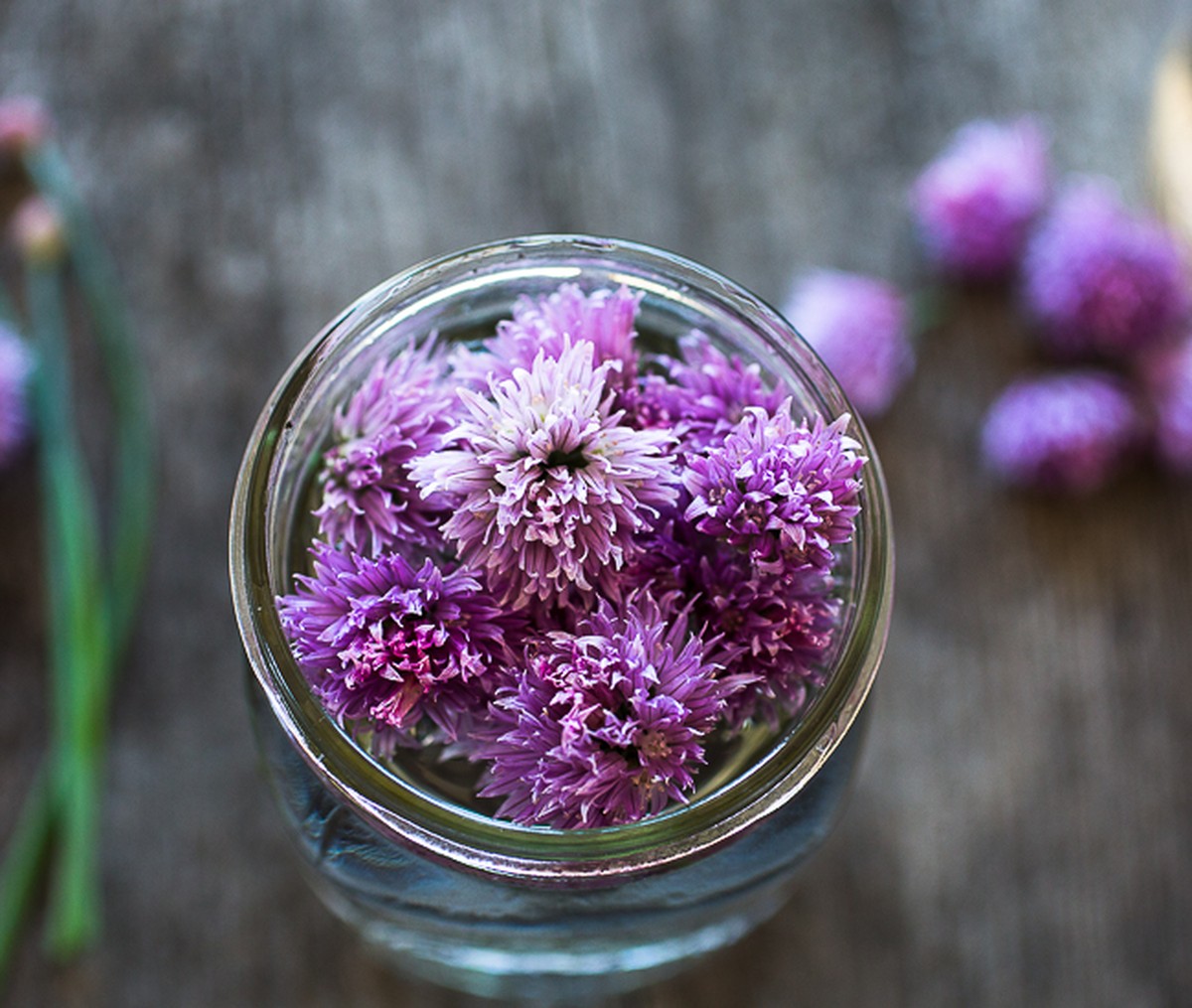 Essig im Blumenwasser verdoppelt die Haltbarkeit – und kostet fast nichts - image 1