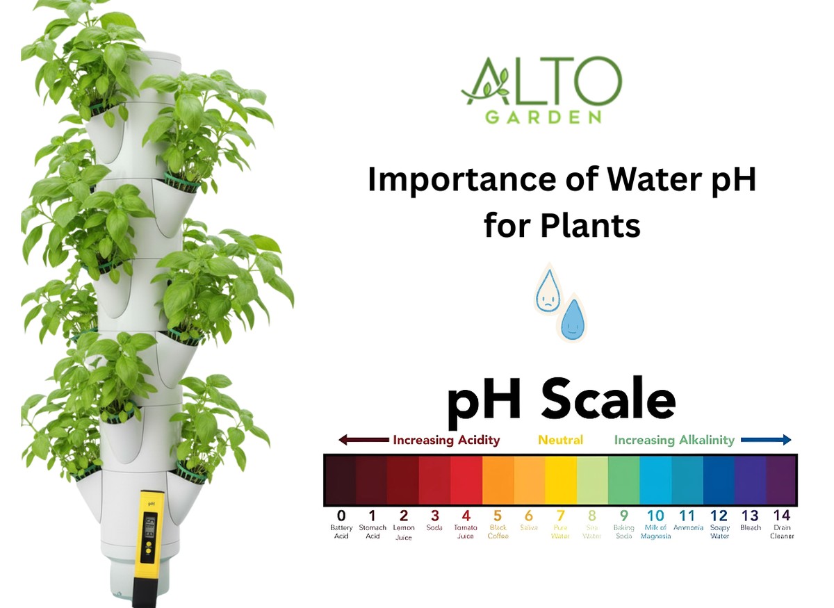 Essig im Gießwasser: Warum Ihre Balkonpflanzen plötzlich üppiger wachsen - image 1