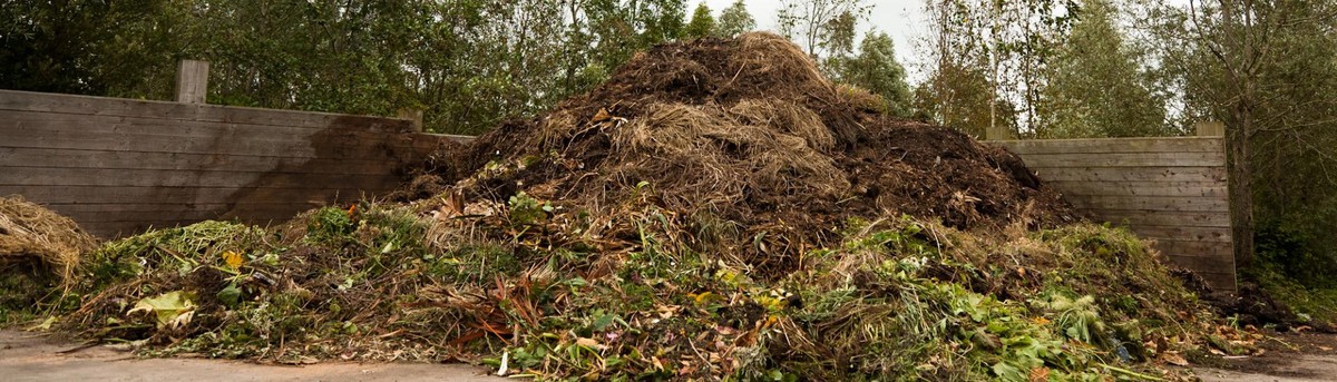 Gärtner berichten: Warum Kompost im Herbst umgestellt werden muss - image 1