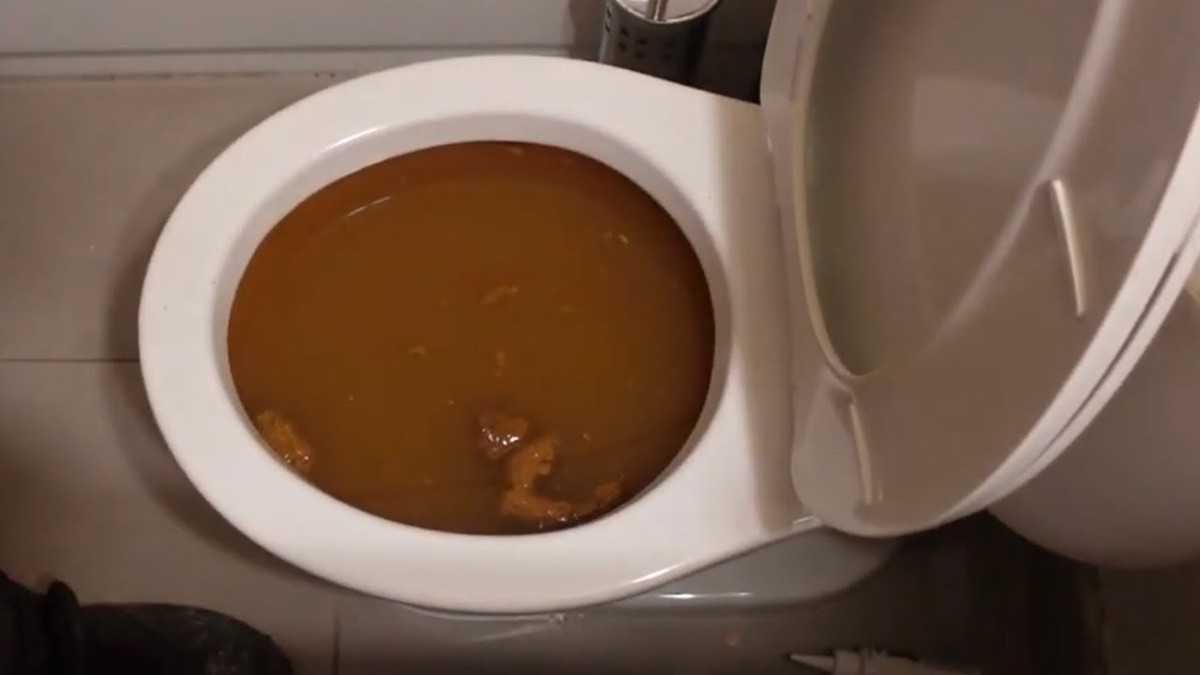 Installateur enthüllt: Darum sollte man niemals heißes Wasser in die Toilette kippen - image 2