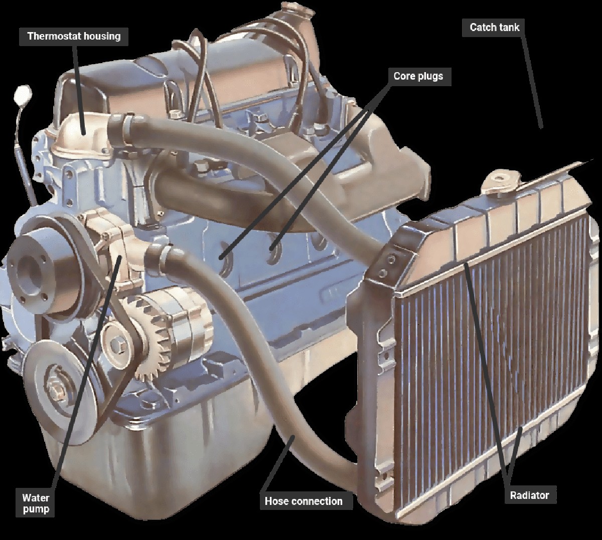 Kaffeesatz hinter den Heizkörper: Warum Handwerker das seit 50 Jahren machen - image 1