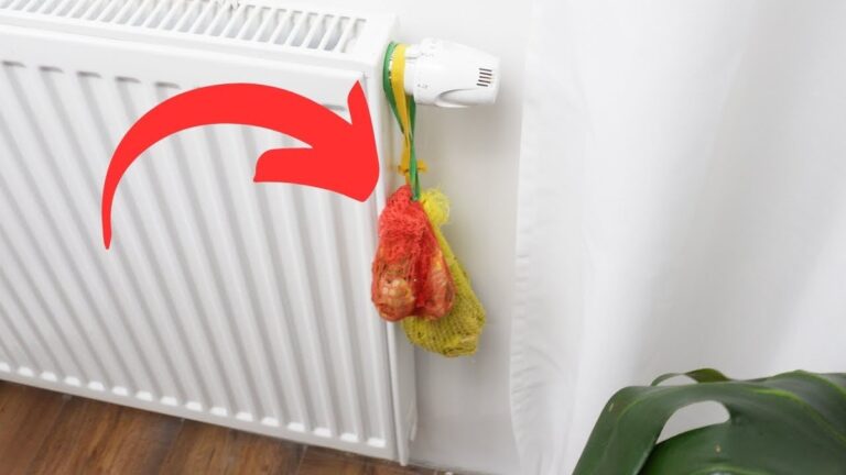 Kartoffelschalen hinter dem Heizkörper: Der Feuchtigkeitstrick, den Handwerker kennen