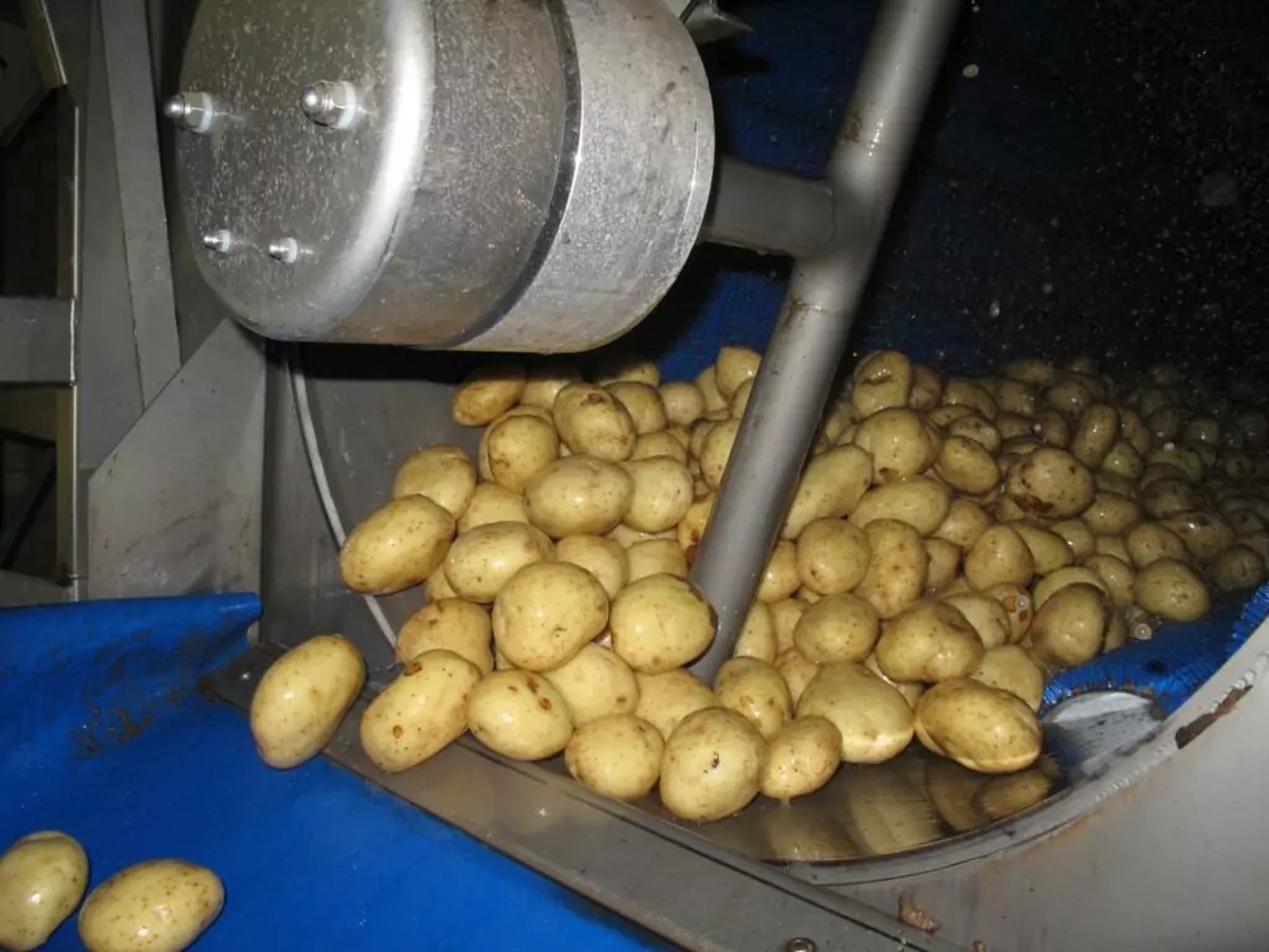 Kartoffelschalen für makellose Armaturen: Das Geheimnis der Hausmeister - image 1