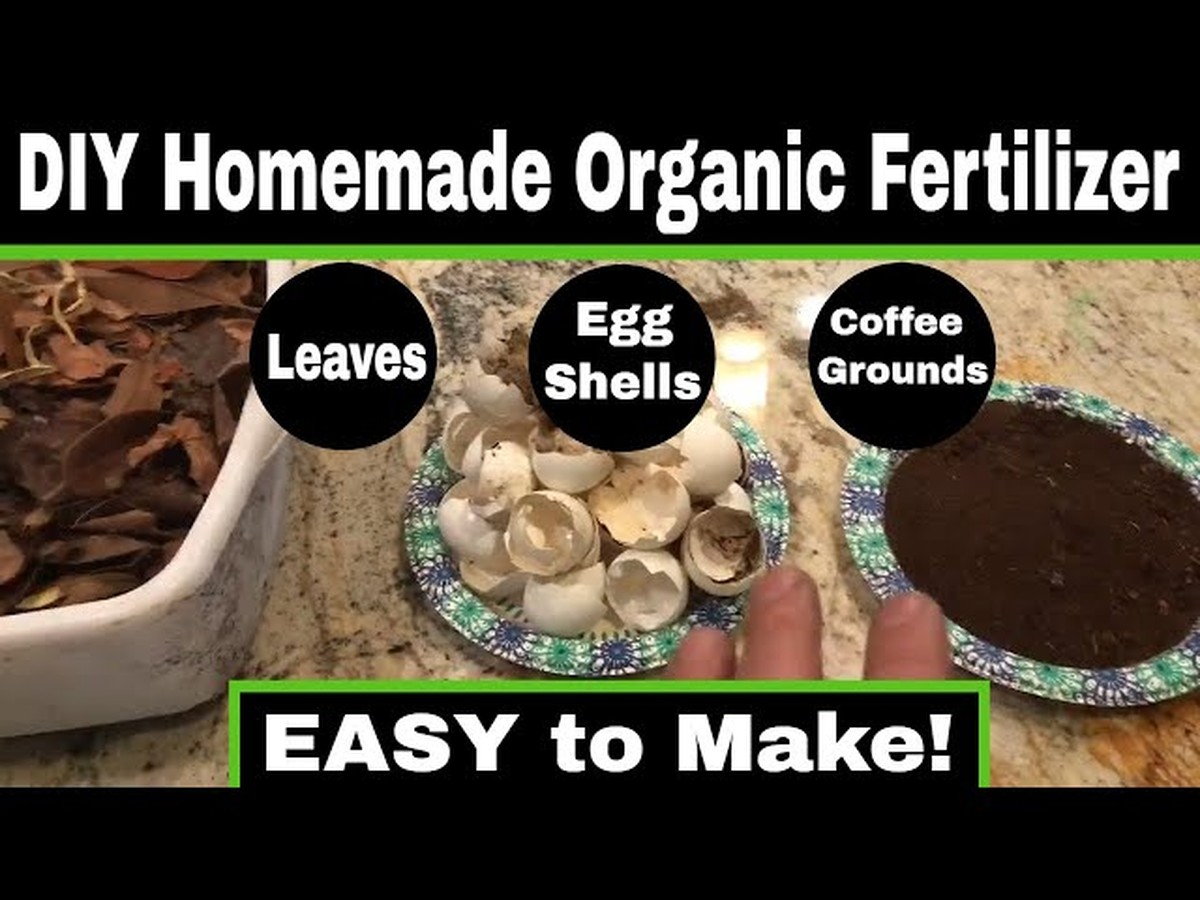 Kartoffelschalen für den Garten – der natürliche Dünger, den Profigärtner nutzen - image 2