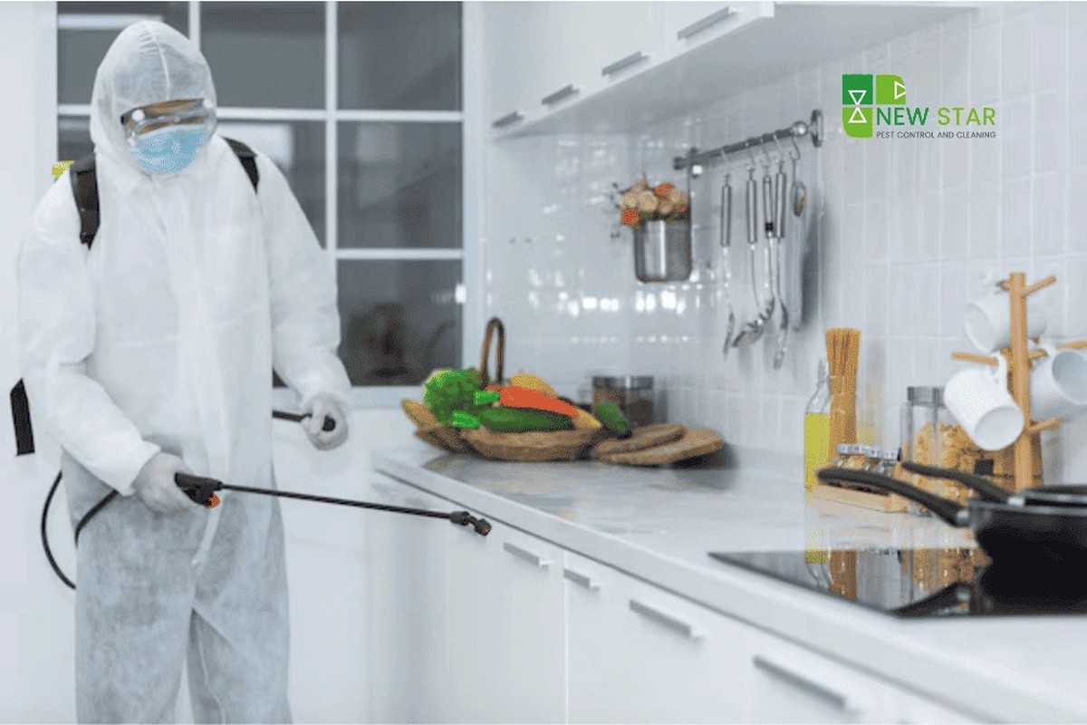 Lorbeerblatt im Mehl: Das 100 Jahre alte Geheimnis gegen Ungeziefer - image 2