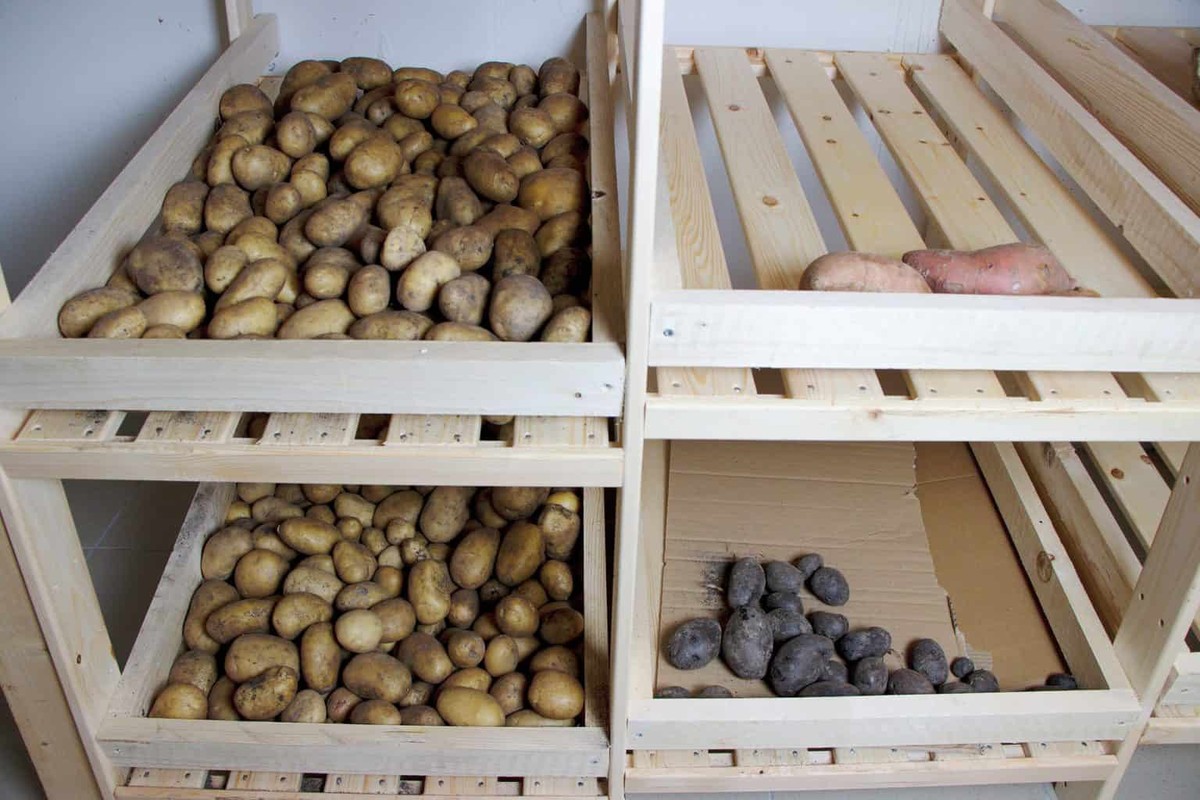 Nylon-Strumpfhose zum Umwickeln von Gemüse – so hält es 3x länger im Kühlschrank - image 1