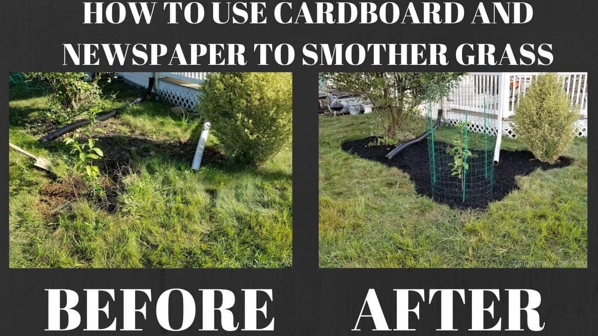 Zeitungspapier unterm Topf – der uralte Gärtnertrick für weniger Unkraut - image 2